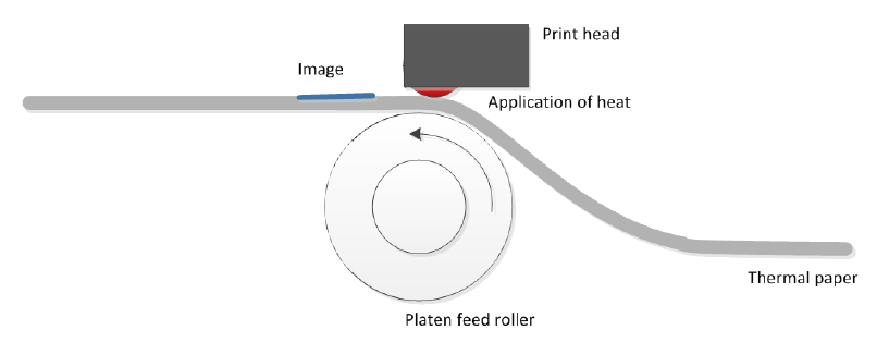 Structure of Thermal Paper