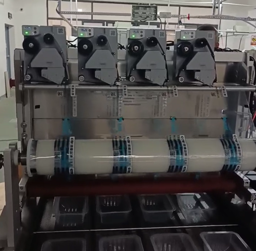 HPRT-DC24E-Integration-into-Food-Pillow-Packaging-Lines