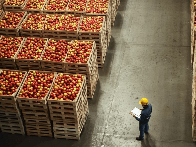 Logistics & Distribution