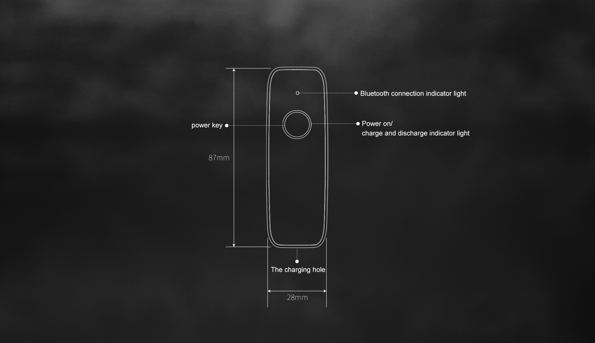 Portable Scanner