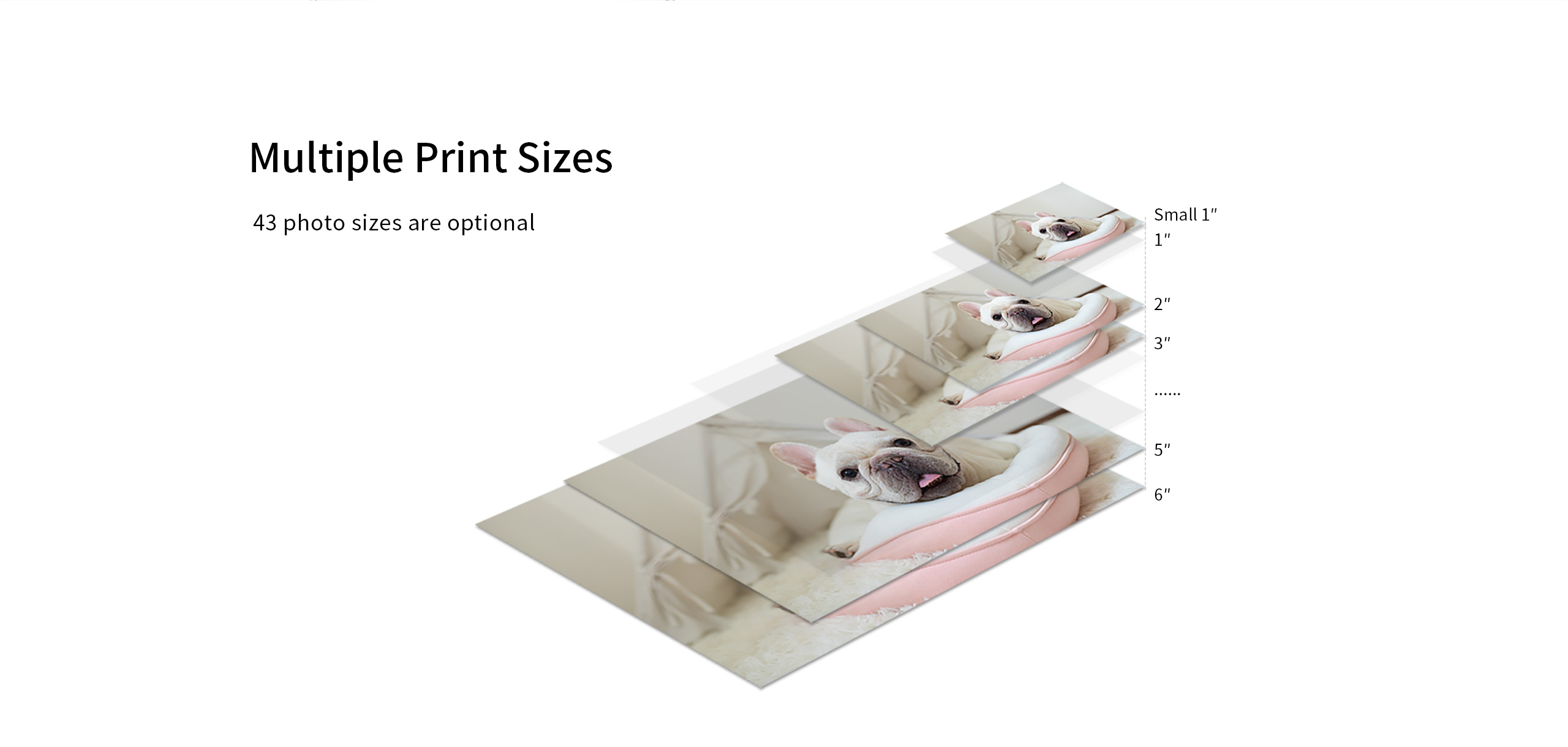 multiple print sizes photo printer multiple print sizes photo printer