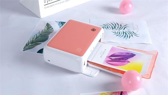 How to Print Passport Size Photos at Home?
